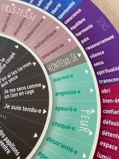 Roue des émotions avec des mots pour exprimer des sentiments variés.